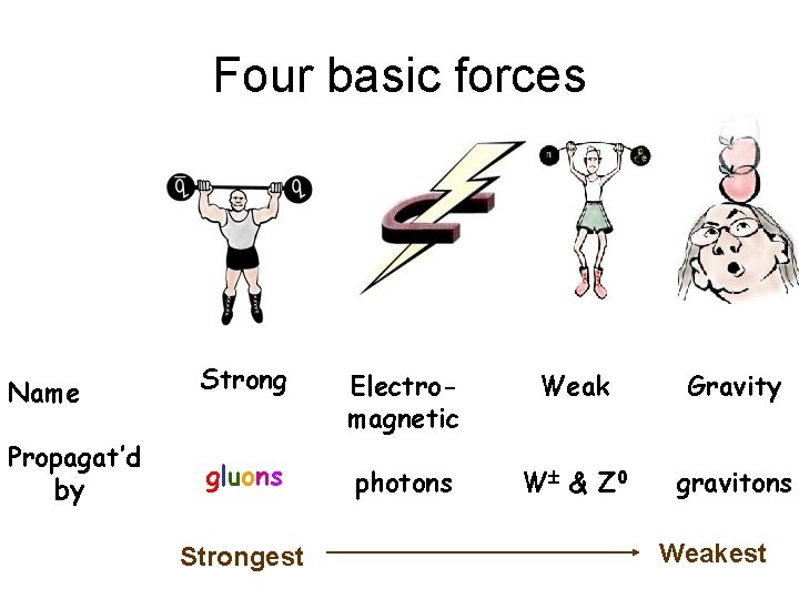 Four basic forces Name Strong Electromagnetic Weak Gravity Propagat’d by gluons photons W & Four basic forces Name Strong Electromagnetic Weak Gravity Propagat’d by gluons photons W &