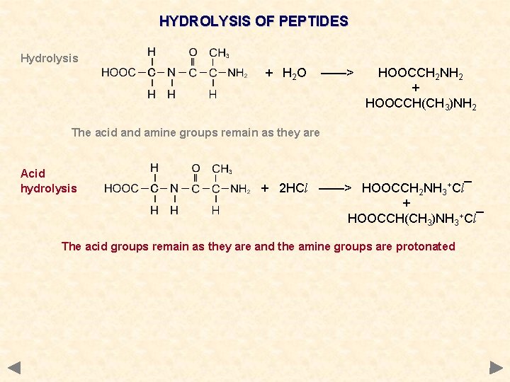 HYDROLYSIS OF PEPTIDES Hydrolysis + H 2 O ——> HOOCCH 2 NH 2 +