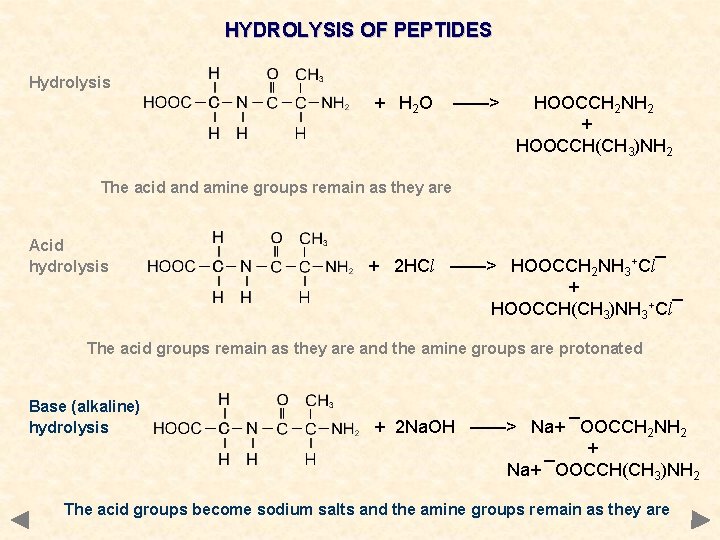 HYDROLYSIS OF PEPTIDES Hydrolysis + H 2 O ——> HOOCCH 2 NH 2 +