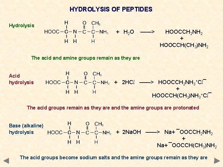 HYDROLYSIS OF PEPTIDES Hydrolysis + H 2 O ——> HOOCCH 2 NH 2 +