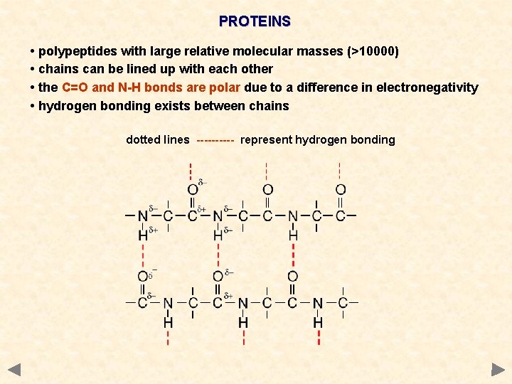 PROTEINS • polypeptides with large relative molecular masses (>10000) • chains can be lined