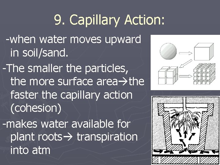 9. Capillary Action: -when water moves upward in soil/sand. -The smaller the particles, the