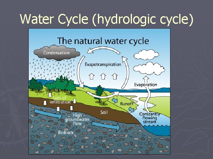 Water Cycle (hydrologic cycle) 