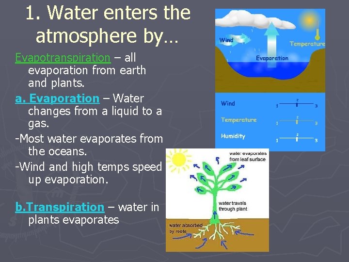 1. Water enters the atmosphere by… Evapotranspiration – all evaporation from earth and plants.