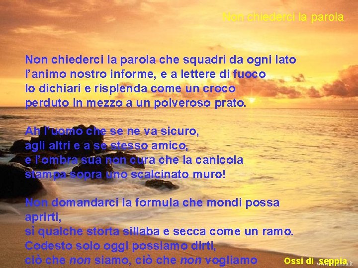 Non chiederci la parola che squadri da ogni lato l’animo nostro informe, e a Non chiederci la parola che squadri da ogni lato l’animo nostro informe, e a