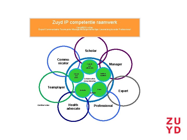 Zuyd IP competentie raamwerk Can. MEDS rollen Expert Communicator Teamspeler Manager. Belangenbehartiger Levenslang lerende