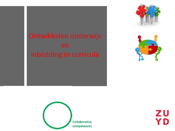 Ontwikkelen onderwijs en inbedding in curricula 