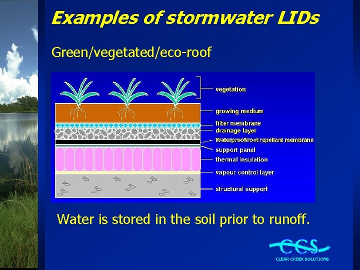 Examples of stormwater LIDs Green/vegetated/eco-roof Water is stored in the soil prior to runoff.