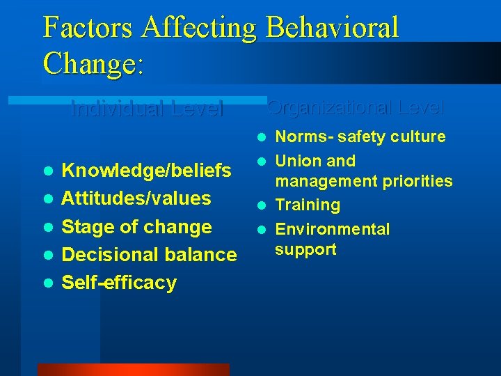 Factors Affecting Behavioral Change: Individual Level Organizational Level Norms- safety culture l Union and