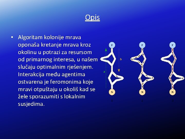 Opis • Algoritam kolonije mrava oponaša kretanje mrava kroz okolinu u potrazi za resursom