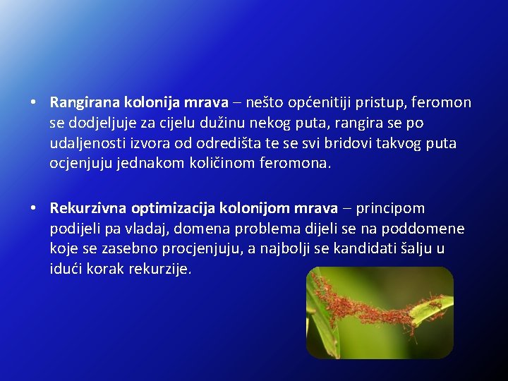  • Rangirana kolonija mrava – nešto općenitiji pristup, feromon se dodjeljuje za cijelu