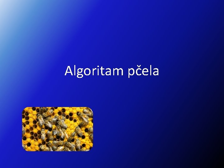 Algoritam pčela 
