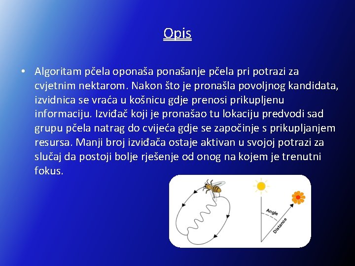 Opis • Algoritam pčela oponašanje pčela pri potrazi za cvjetnim nektarom. Nakon što je