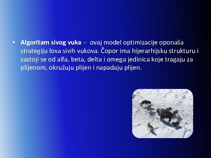  • Algoritam sivog vuka – ovaj model optimizacije oponaša strategiju lova sivih vukova.