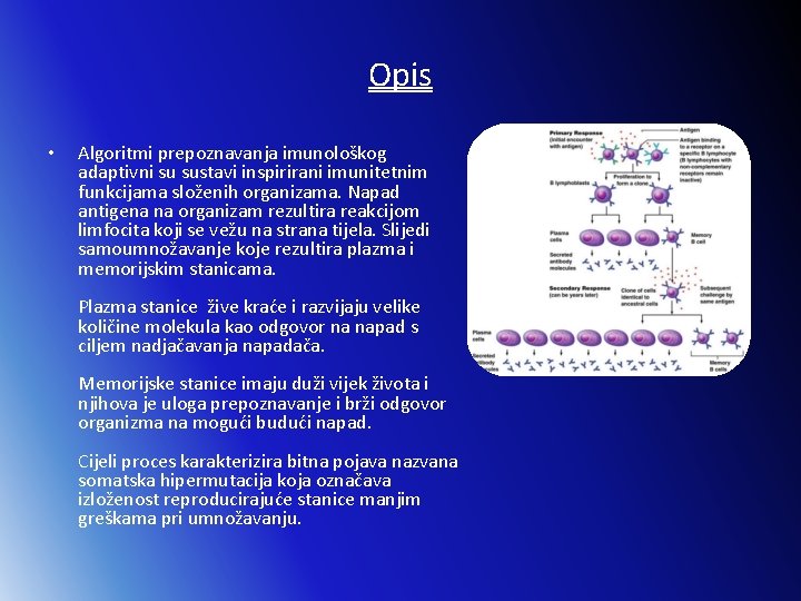 Opis • Algoritmi prepoznavanja imunološkog adaptivni su sustavi inspirirani imunitetnim funkcijama složenih organizama. Napad