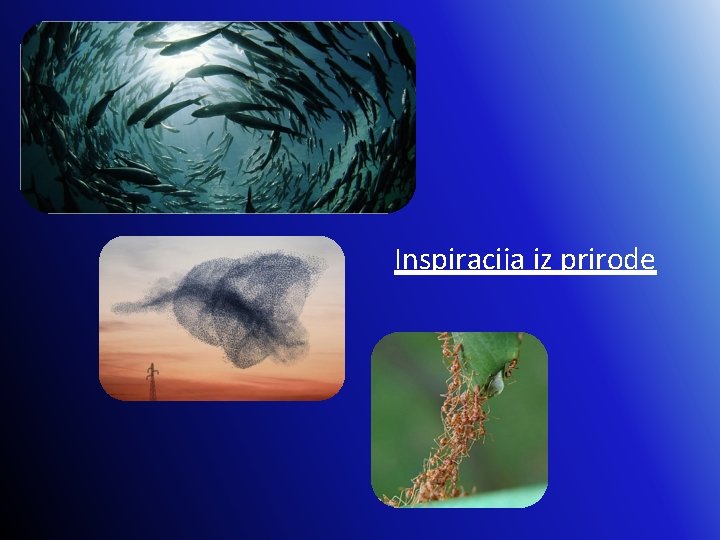 Inspiracija iz prirode 