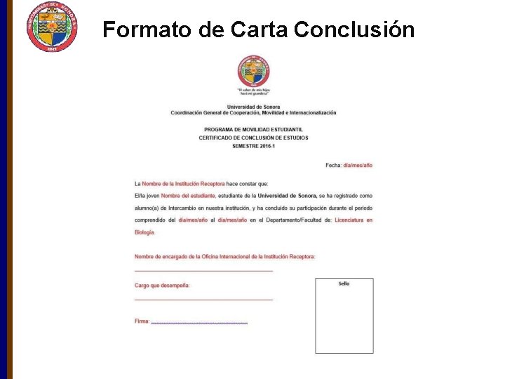Formato de Carta Conclusión 
