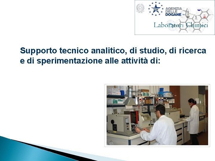 Supporto tecnico analitico, di studio, di ricerca e di sperimentazione alle attività di: 