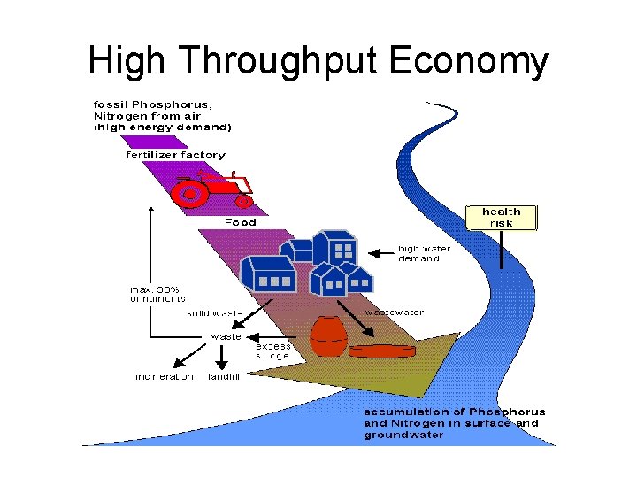 High Throughput Economy 