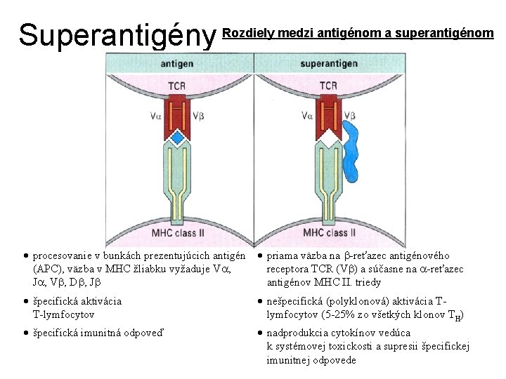 Superantigény Rozdiely medzi antigénom a superantigénom procesovanie v bunkách prezentujúcich antigén priama väzba na
