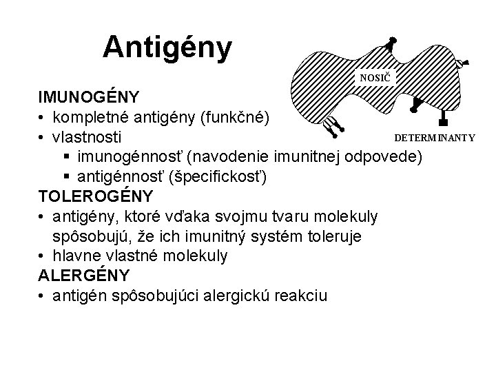 Antigény NOSIČ IMUNOGÉNY • kompletné antigény (funkčné) DETERMINANTY • vlastnosti § imunogénnosť (navodenie imunitnej