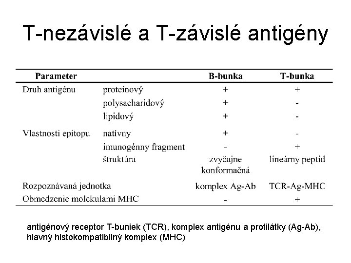 T-nezávislé a T-závislé antigény antigénový receptor T-buniek (TCR), komplex antigénu a protilátky (Ag-Ab), hlavný