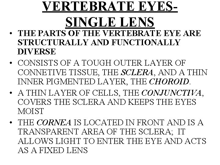 VERTEBRATE EYESSINGLE LENS • THE PARTS OF THE VERTEBRATE EYE ARE STRUCTURALLY AND FUNCTIONALLY