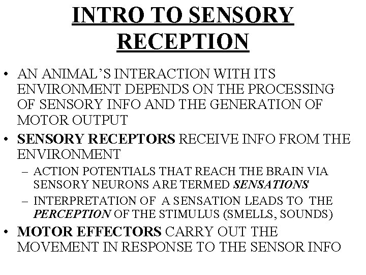 INTRO TO SENSORY RECEPTION • AN ANIMAL’S INTERACTION WITH ITS ENVIRONMENT DEPENDS ON THE
