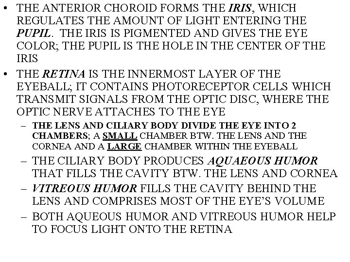  • THE ANTERIOR CHOROID FORMS THE IRIS, WHICH REGULATES THE AMOUNT OF LIGHT