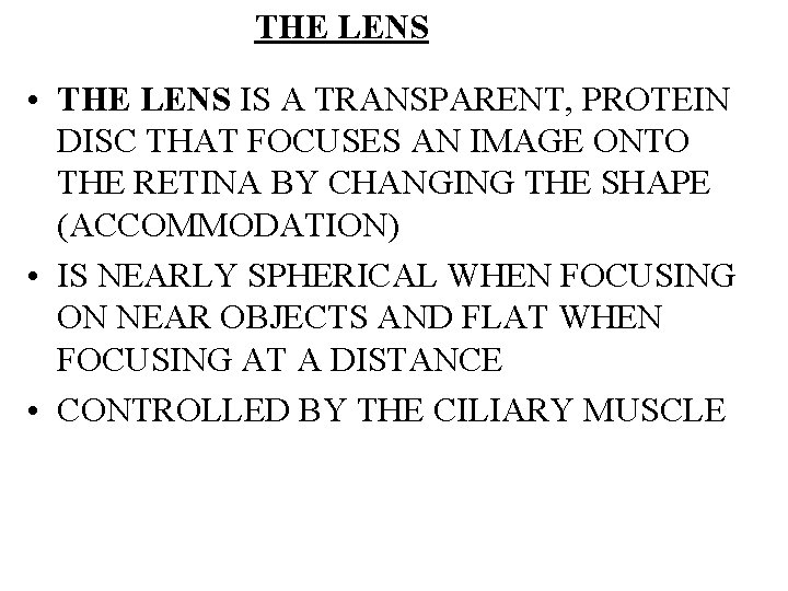 THE LENS • THE LENS IS A TRANSPARENT, PROTEIN DISC THAT FOCUSES AN IMAGE