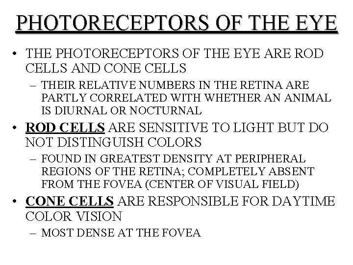 PHOTORECEPTORS OF THE EYE • THE PHOTORECEPTORS OF THE EYE ARE ROD CELLS AND