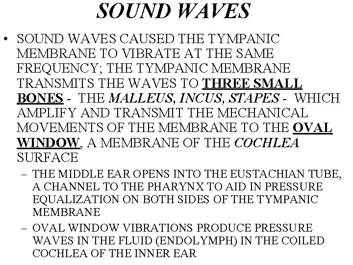 SOUND WAVES • SOUND WAVES CAUSED THE TYMPANIC MEMBRANE TO VIBRATE AT THE SAME