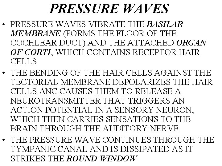 PRESSURE WAVES • PRESSURE WAVES VIBRATE THE BASILAR MEMBRANE (FORMS THE FLOOR OF THE