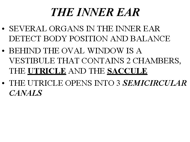 THE INNER EAR • SEVERAL ORGANS IN THE INNER EAR DETECT BODY POSITION AND