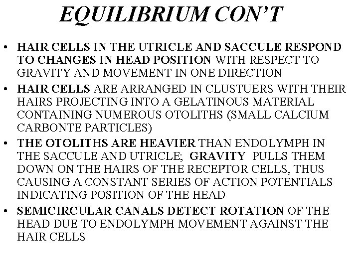 EQUILIBRIUM CON’T • HAIR CELLS IN THE UTRICLE AND SACCULE RESPOND TO CHANGES IN
