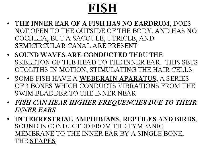 FISH • THE INNER EAR OF A FISH HAS NO EARDRUM, DOES NOT OPEN
