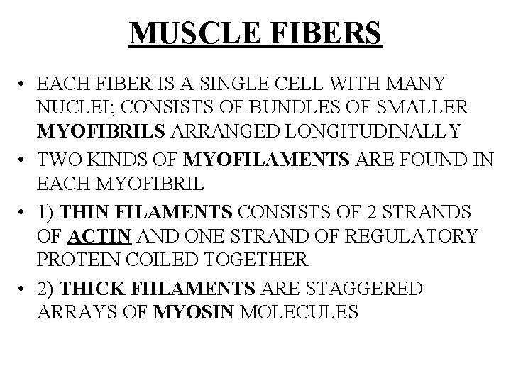 MUSCLE FIBERS • EACH FIBER IS A SINGLE CELL WITH MANY NUCLEI; CONSISTS OF
