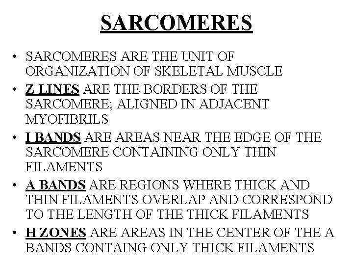SARCOMERES • SARCOMERES ARE THE UNIT OF ORGANIZATION OF SKELETAL MUSCLE • Z LINES