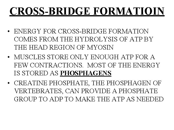 CROSS-BRIDGE FORMATIOIN • ENERGY FOR CROSS-BRIDGE FORMATION COMES FROM THE HYDROLYSIS OF ATP BY