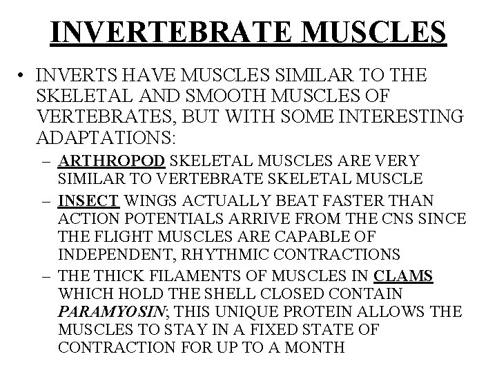 INVERTEBRATE MUSCLES • INVERTS HAVE MUSCLES SIMILAR TO THE SKELETAL AND SMOOTH MUSCLES OF