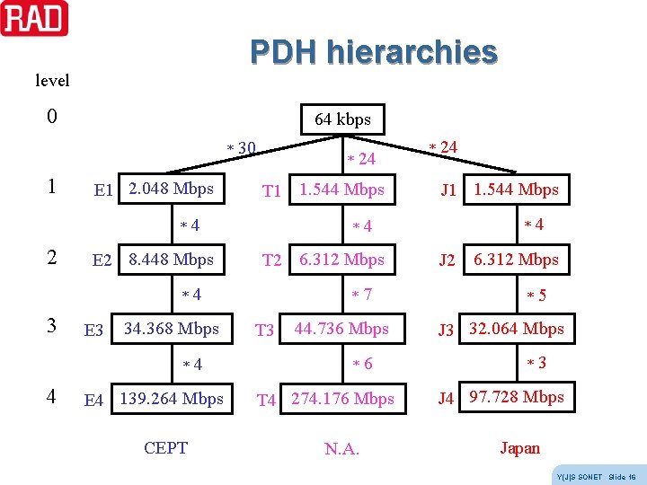 PDH hierarchies level 0 64 kbps * 1 E 1 2. 048 Mbps * PDH hierarchies level 0 64 kbps * 1 E 1 2. 048 Mbps *