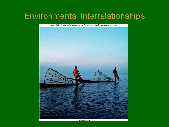 Environmental Interrelationships 