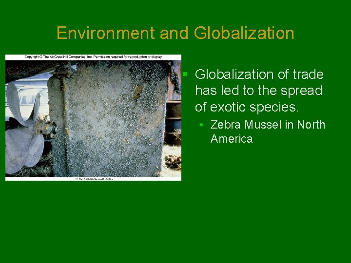 Environment and Globalization § Globalization of trade has led to the spread of exotic