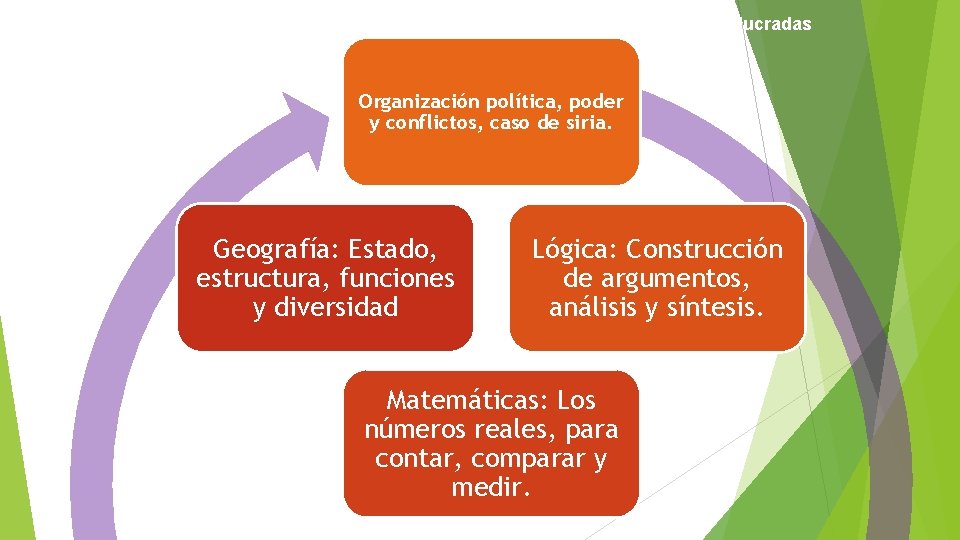 5 b. Organizador gráfico de conceptos de materias involucradas Organización política, poder y conflictos,