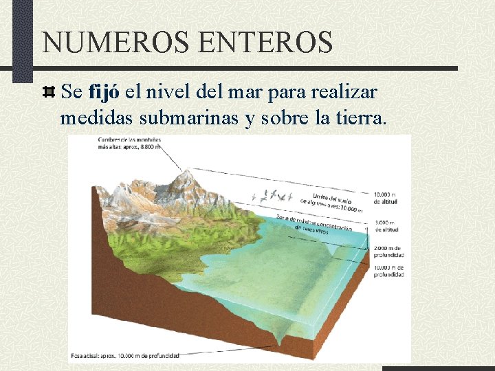 NUMEROS ENTEROS Se fijó el nivel del mar para realizar medidas submarinas y sobre