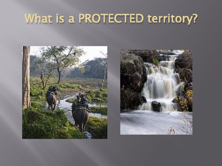 What is a PROTECTED territory? What is a PROTECTED territory?
