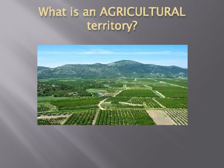 What is an AGRICULTURAL territory? What is an AGRICULTURAL territory?