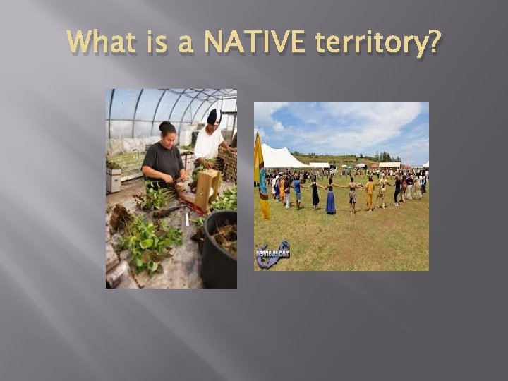What is a NATIVE territory? What is a NATIVE territory?