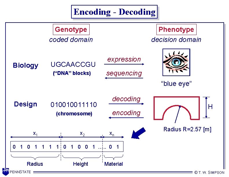Encoding - Decoding Genotype coded domain Biology UGCAACCGU (“DNA” blocks) Phenotype decision domain expression
