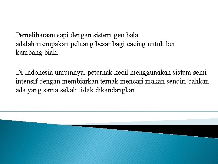 Pemeliharaan sapi dengan sistem gembala adalah merupakan peluang besar bagi cacing untuk ber kembang Pemeliharaan sapi dengan sistem gembala adalah merupakan peluang besar bagi cacing untuk ber kembang